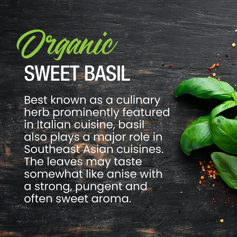 
                      
                        Organic Sweet Basil
                      
                    