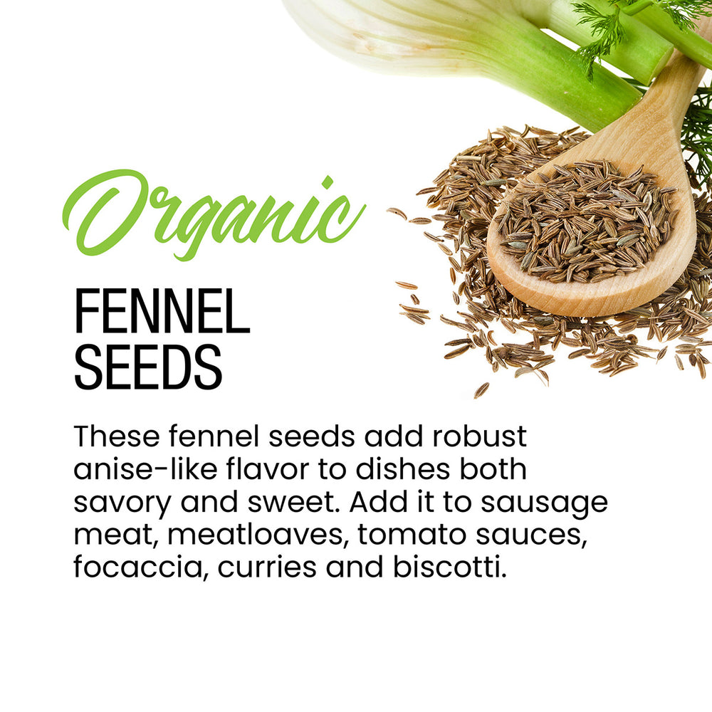 
                      
                        Organic Fennel Seeds
                      
                    