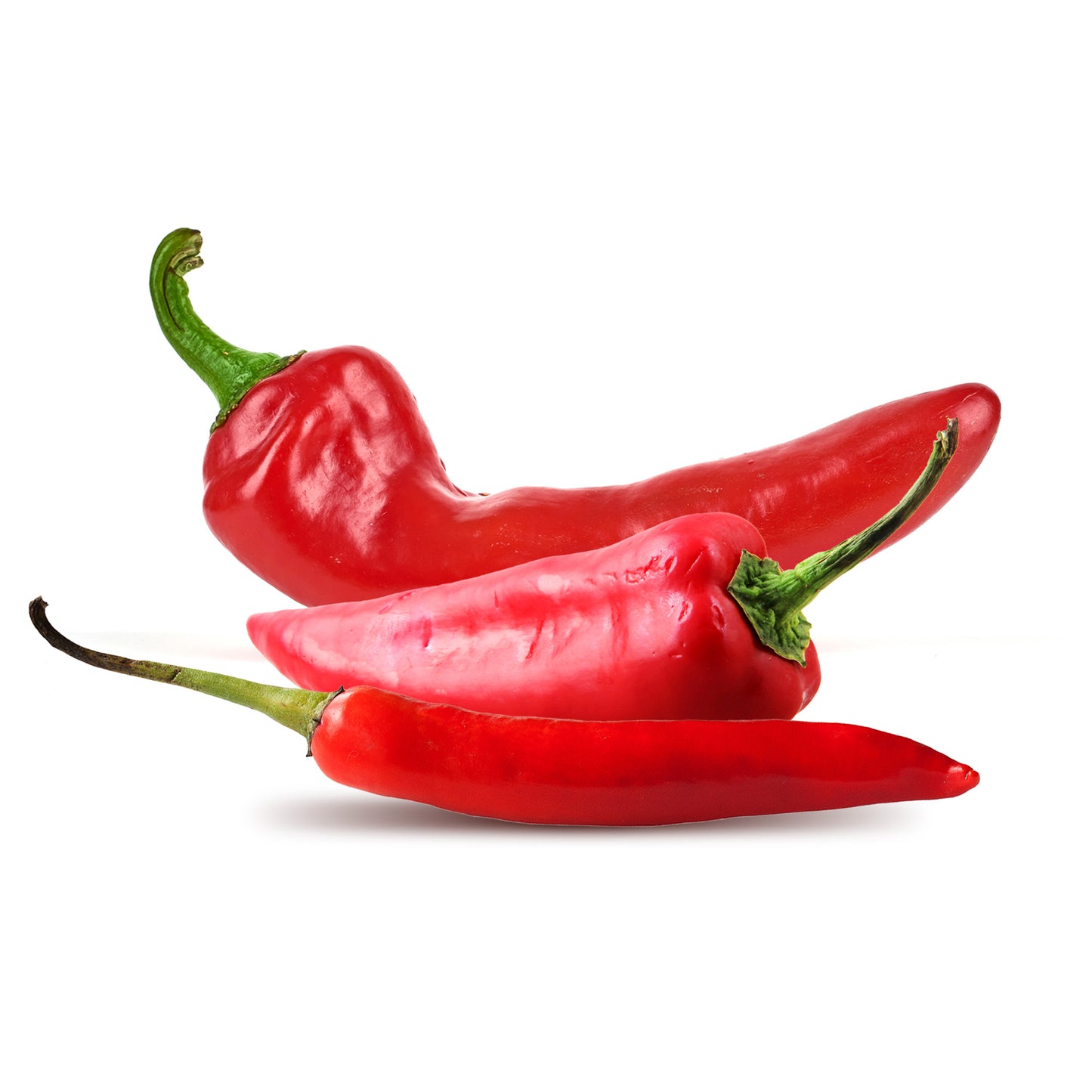 The Spice Lab