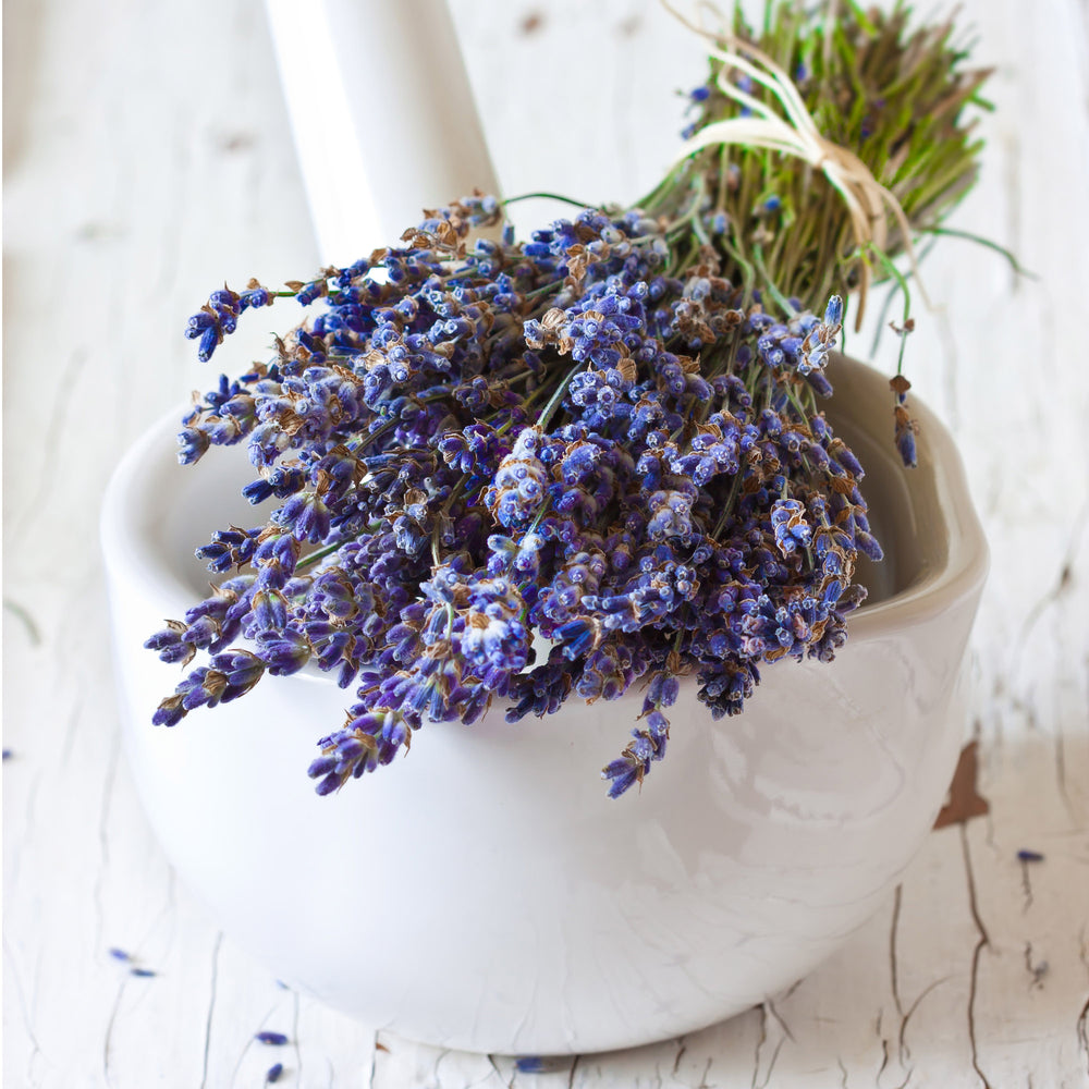Culinary Lavender (Super Blue) - 1 oz.