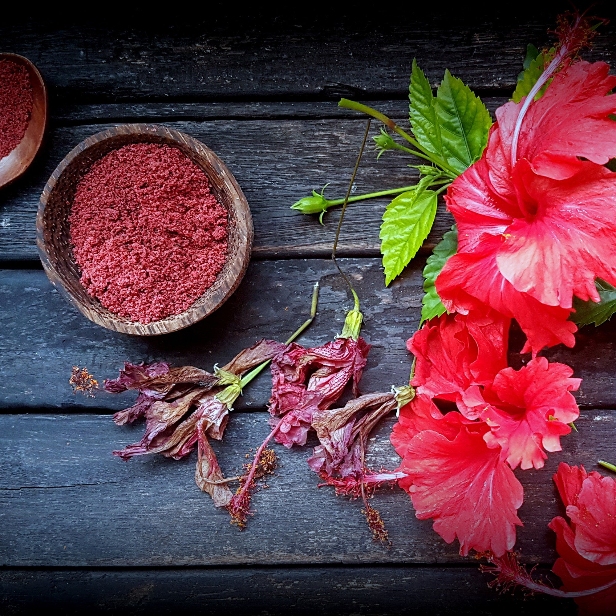 Hibiscus Flower - Red Stick Spice Company