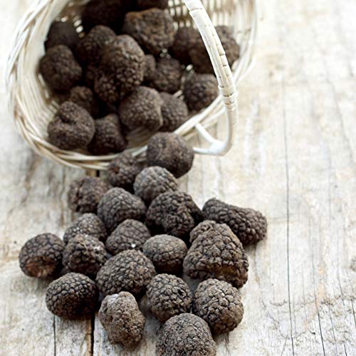 
                      
                        Italian Black Truffle Sea Salt
                      
                    
