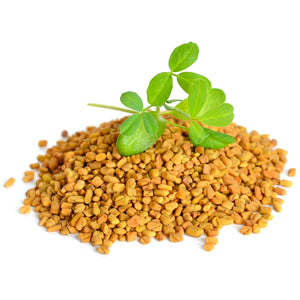 
                  
                    Load image into Gallery viewer, The Spice Lab Whole Fenugreek Seeds - Kosher Gluten-Free Non-GMO All-Natural Spice - 5136
                  
                