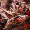 The Spice Lab Ground Annatto Seeds - Kosher Gluten-Free Non-GMO All Natural Spice - 5113